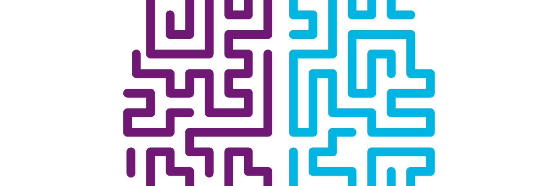 Succesvolle netwerkbijeenkomst 'Revalideren met een cognitieve beperking' 