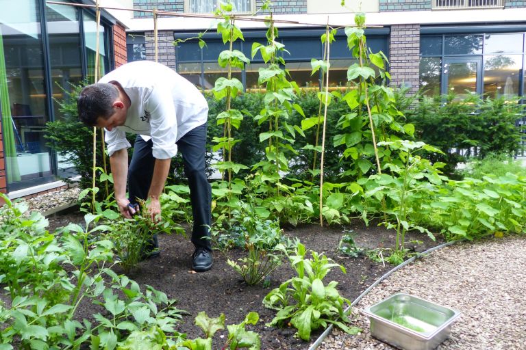 Verhalen over groentetuintjes van vroeger komen los in De Brink